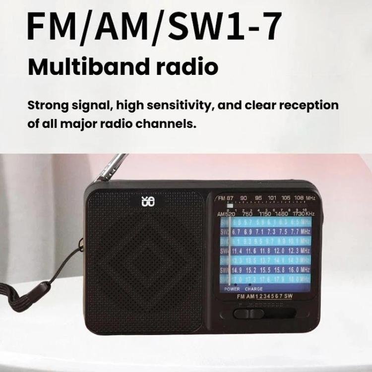 W-913 Portable Pointer Dual-Power Radio FM/AM/SW1-7 Multi-Band Radio