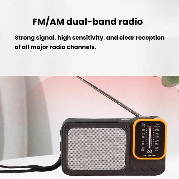 W-916 Portable Pointer Radio With Reading Light FM/AM Dual-Band Radio
