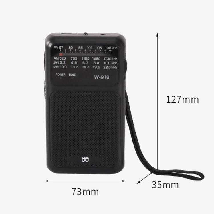 W-918 Pointer Dual-Power Radio FM/AM/SW Full-Band Radio