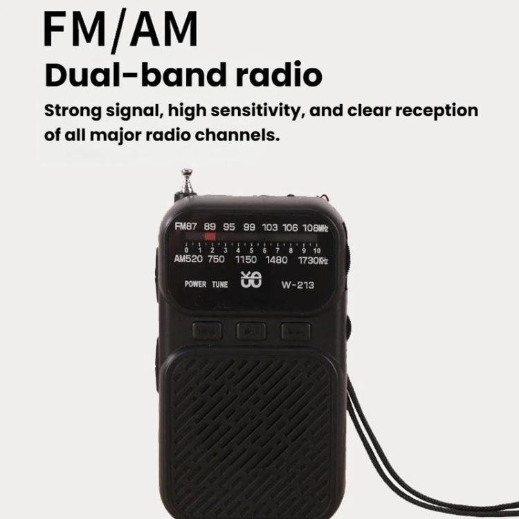W-213 FM/AM Pointer Dual-Power Radio Portable Clip-On Radio With Flashlight
