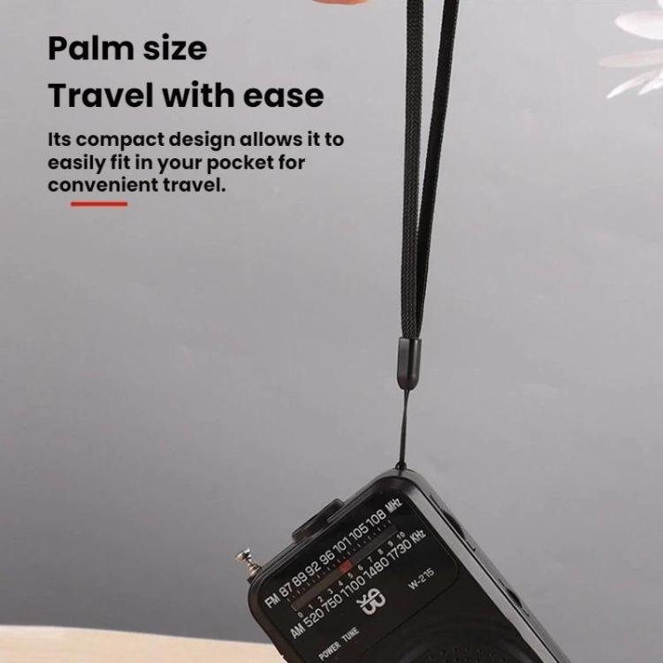 WDK FM/AM All-Band Portable Radio, English