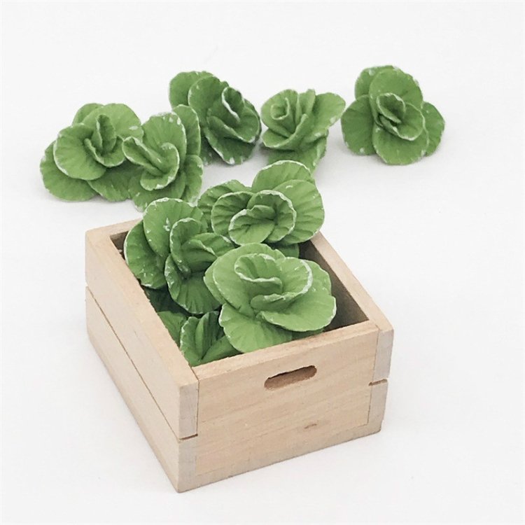 5 PCS 1:12 Mini House Toy Vegetable Simulation Cabbage Kitchen Accessory Min… 5 PCS 1:12 Mini House Toy Vegetable Simulation Cabbage Kitchen Accessory Min…