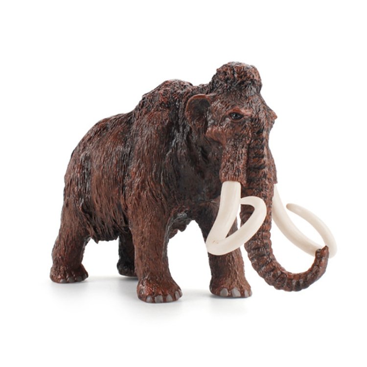 Children Science Education Cognition Simulation Ocean Wild Ancient Animal Mod…