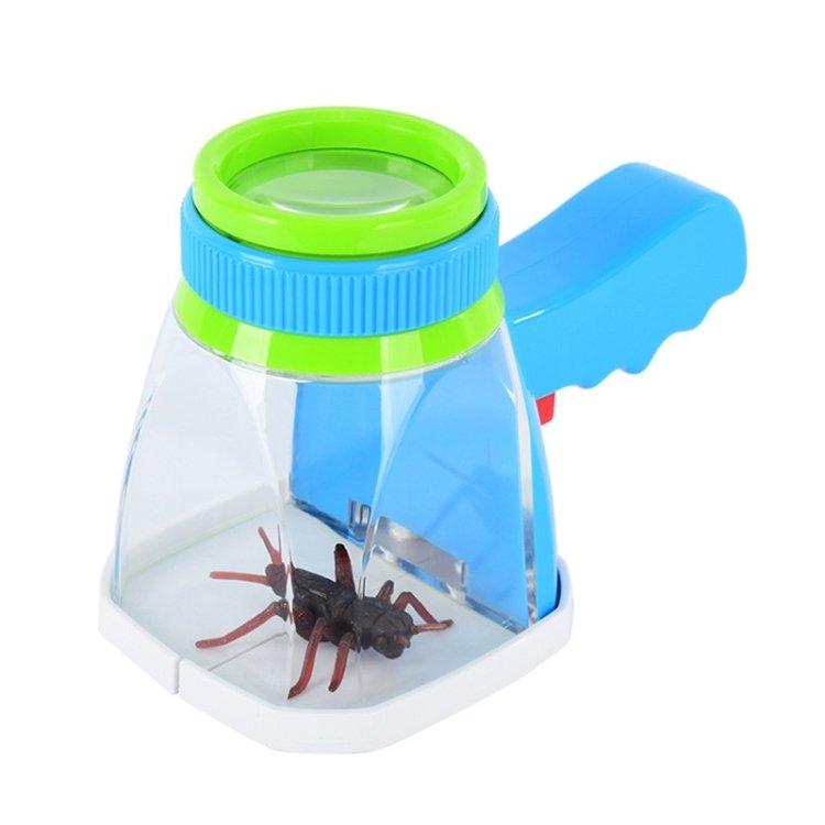 Children Animal Plant Observer Scientific Experiment Magnifying Glass Children Animal Plant Observer Scientific Experiment Magnifying Glass